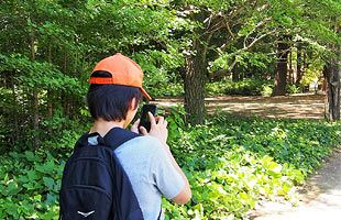 「ポケモンGO」祭りが頭上を吹き抜けていった任天堂（前）