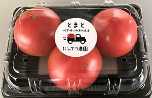 佐賀県基山町　新ブランドトマト「きやまトマッペ」　西鉄子会社が開発