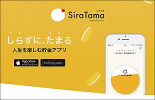 会計の見える化・自動化　イノベーションが導く新世代の企業経営（中）