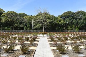 「令和の里」記念樹公苑が開苑～記念式典を開催