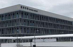 豊洲市場裁判の結果と感想＝法廷での茶番劇