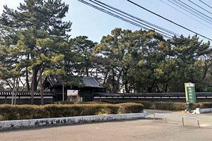 【特集】福間病院──精神科医療の先駆けだった病院に何が起きているのか（1）序章