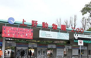 上野動物園のパンダ「シャンシャン」展示中止～展示再開の予定なし