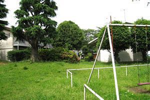 捨てる人　捨てられる人