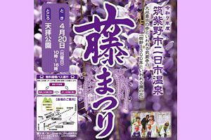 【4/20】筑紫野市祭「二日市温泉藤まつり」開催