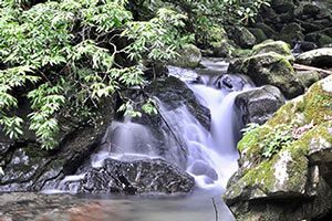 『脊振の自然に魅せられて』「すばらしい野河内渓谷」