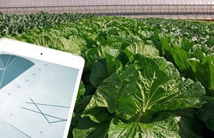 東洋新薬、農水省のスマート農業開発・実証プロジェクトに参画