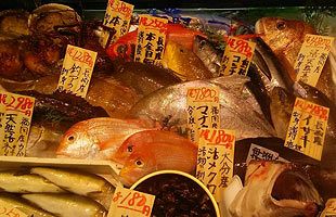 鮮魚ビジネスの面白みと可能性（前）