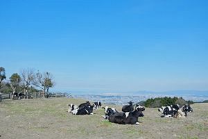 油山市民の森リニューアル事業、JR九州グループが優先交渉権者に
