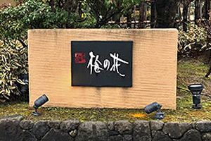 梅の花、2024年4月期決算は大幅増益により全利益面で黒字転換