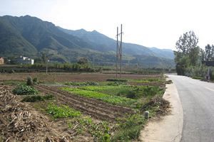 名門大学を卒業して農業を選んだ中国の若者