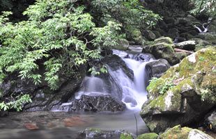 『脊振の自然に魅せられて』福岡市で唯一の渓谷「野河内渓谷」を甦らせよう（１）