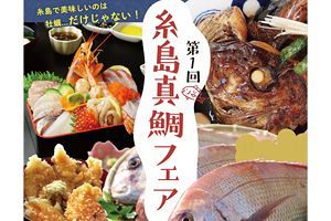 糸島真鯛フェア開催、天然マダイの美味しさを知る機会に
