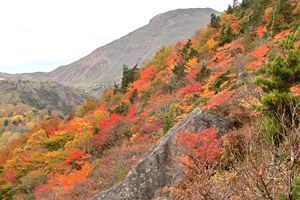 紅葉が進む磐梯山、何かおかしい紅葉