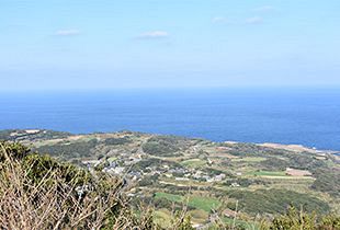 【特別レポート】黒く塗りつぶされる島～逮捕者2人、死者1人を出したメガソーラー事業で揺れる宇久島（4）完結編