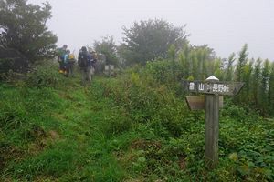 『脊振の自然に魅せられて』久しぶりの雷山-井原山縦走（前）