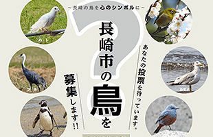 ひと足早く選挙中！長崎市民が選ぶ「長崎市の鳥」は？