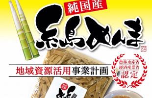 糸島の放置竹林で希少な国産メンマを製造