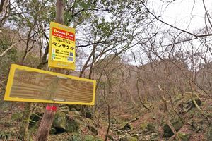 『脊振の自然に魅せられて』今年の初登山（後）