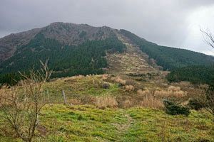 『脊振の自然に魅せられて』晩秋の雷山―井原山―三瀬峠縦走（前）