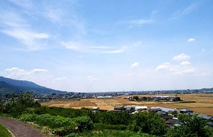 【巨大地震に備える（7）】東海道五十三次、宿場の拠点は駿府・遠江
