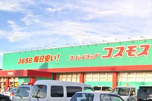 コスモス薬品11月中間、小幅増収・減益 コロナ反動で既存店苦戦