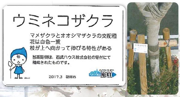 都市デザイン会社へと進化を遂げる（後）