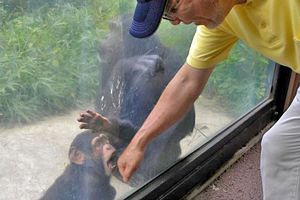 ノン・ズーを夢みて～北九州・到津の森から（3）