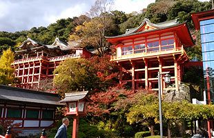 創建330年　佐賀祐徳稲荷神社にもインバウンドの波