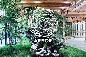 木の魅力を探求した新施設「ARBOR」　ルーツ・大川市で新たなコミュニティーを