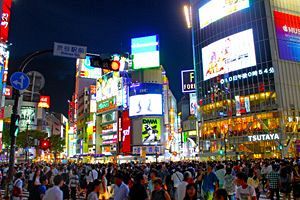 増加するインバウンド、観光地は「一極集中」から「分散」へ