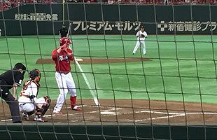 25年ぶりのリーグ優勝！！広島東洋カープ、前年のBクラス（４位）から大躍進！