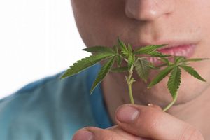 2017年の大麻摘発者数が過去最多～若年層への広がりが要因