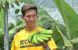 サッカー日本代表・小林祐希氏（ベルギーのクラブ所属）みやき町でイベントに参加（1）神バナナを収穫