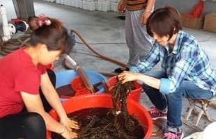 中国社会にドップリつかった飯山一郎