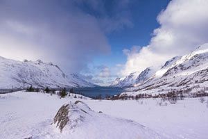 世界が注目する北極圏の経済安保的価値：日本企業にもチャンス！