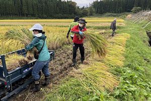 劇団わらび座が農業支援　「芸農人」が農家のお手伝い