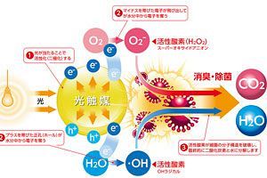 光触媒反応で菌やカビを分解除去 マスクにも使える安全性を確保