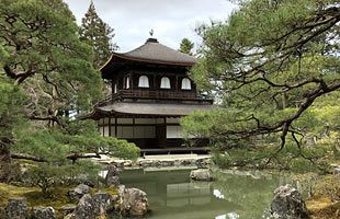 幻想的な風景と風光明媚な庭園　京都の奥深さを感じて