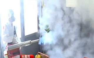 台湾でデング熱流行