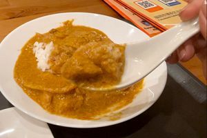 若者発案で実現した「カレーマーケット」、商店街の活気再び