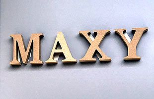 障がい福祉事業所「MAXY」の疑惑に新展開　施設閉鎖の裏に『虐待』