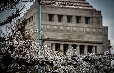 【読者からの投稿】「桜を見る会」をめぐる物議について