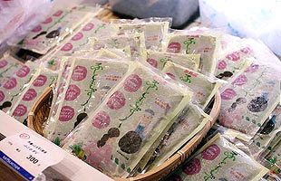 糸島産「ふともずく」～産官学の連携で目指せ全国区！