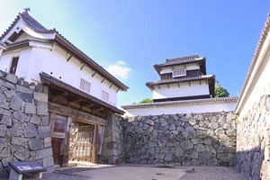 福岡城再建の機運高まるなか、市民ガイドツアー開催