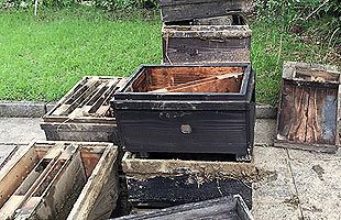 【筑後・大分豪雨】床上浸水被害を受けた藤井養蜂場