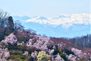 【縄文道通信第58号】縄文道ユートピア論～実現可能な道程　縄文道―武士道―未来道（後）